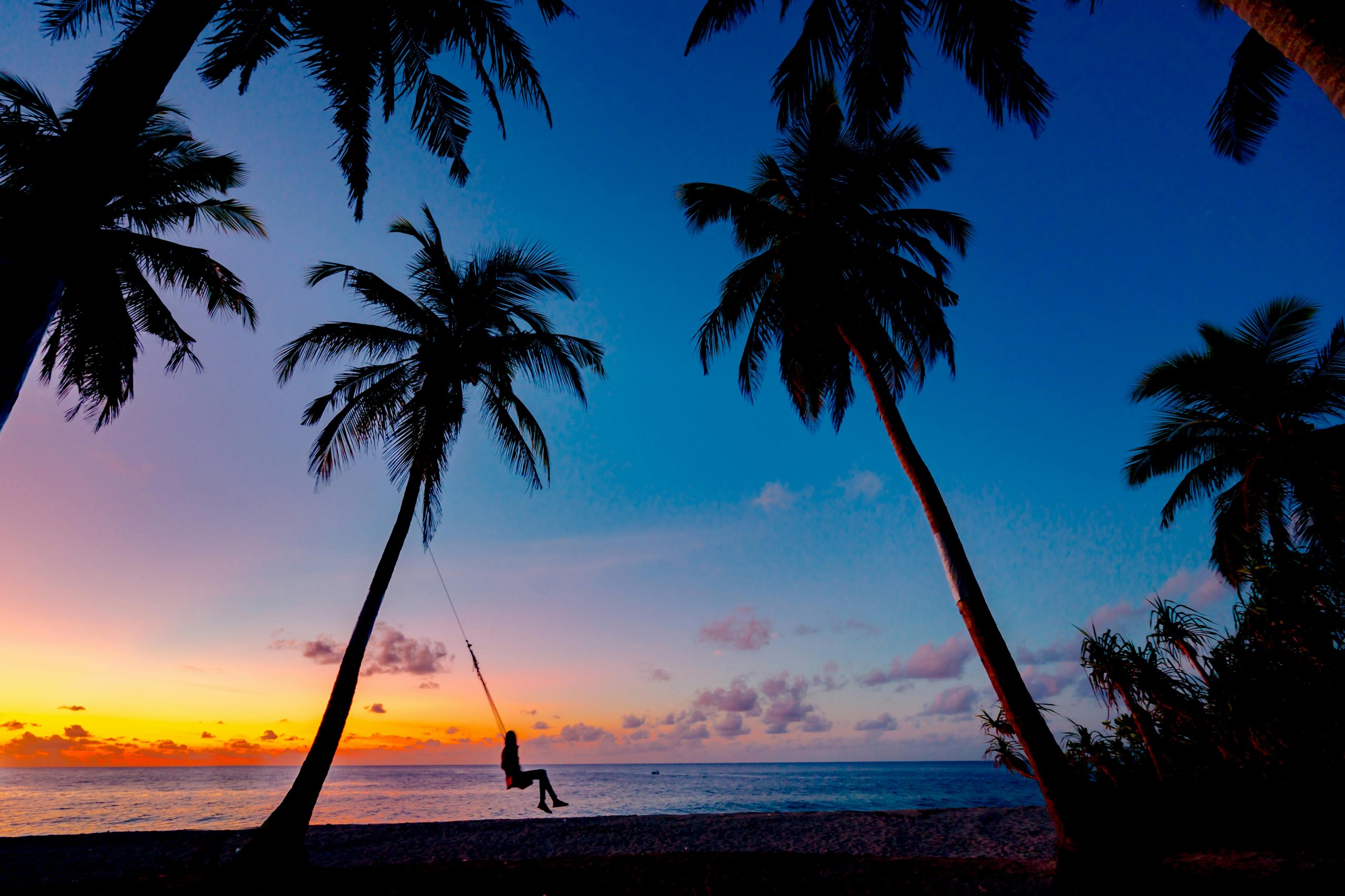 Beach-Palm-trees-sunset